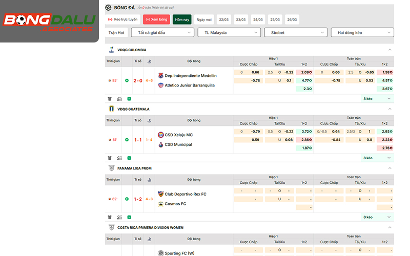 Giao diện tỷ số trực tuyến thông minh trên BONGDALU